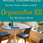 Organization basics for moms
