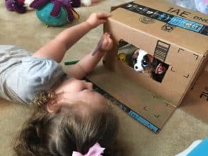 cardboard box activity for preschoolers