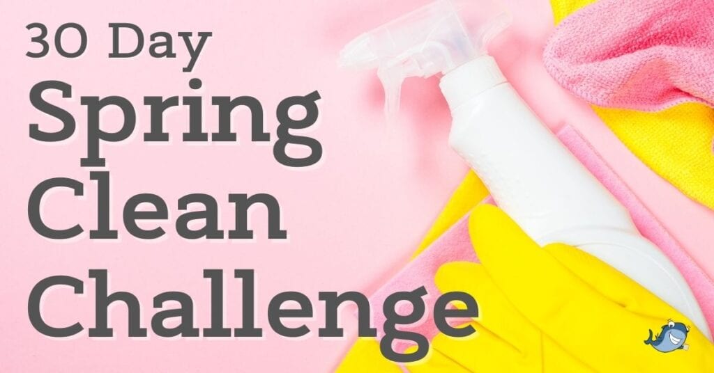 Spring Cleaning and Organization Hacks with a Printable Checklist!