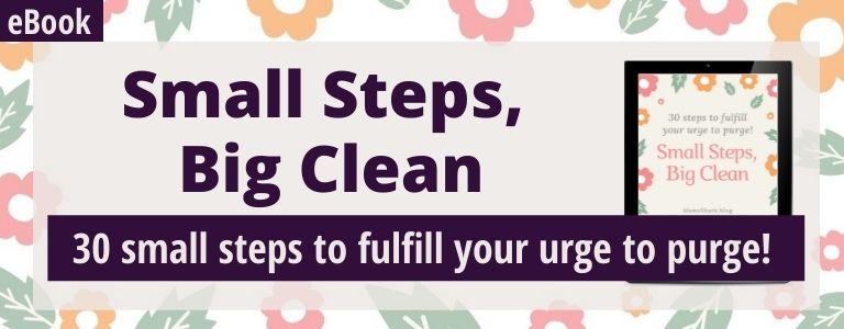 small steps big clean ebook